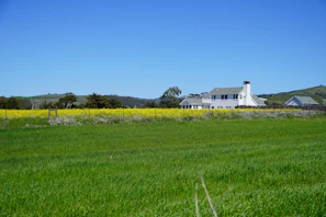 Wide shot of the farmhouse surrounded by green fields under a bright blue sky