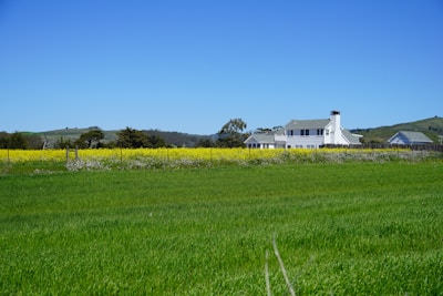 A sprawling rural landscape with a green field in the foreground and a bright, clear blue sky above. A traditional white farmhouse with a chimney is situated in the middle of the scene, surrounded by a fence and lush, yellow-flowered plants. The background features rolling green hills and scattered trees.