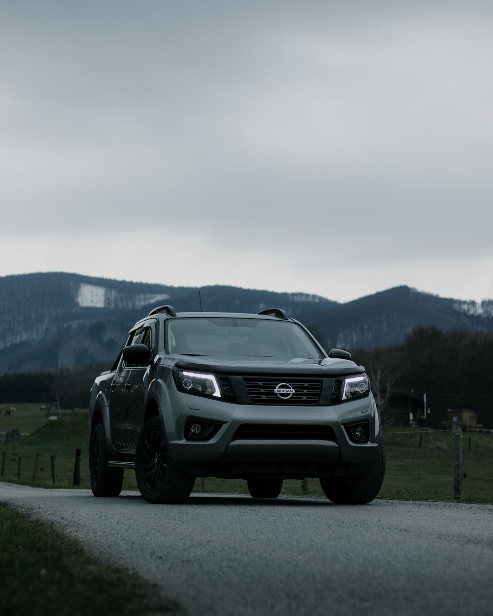 日中の緑の芝生に黒い日産のSUV