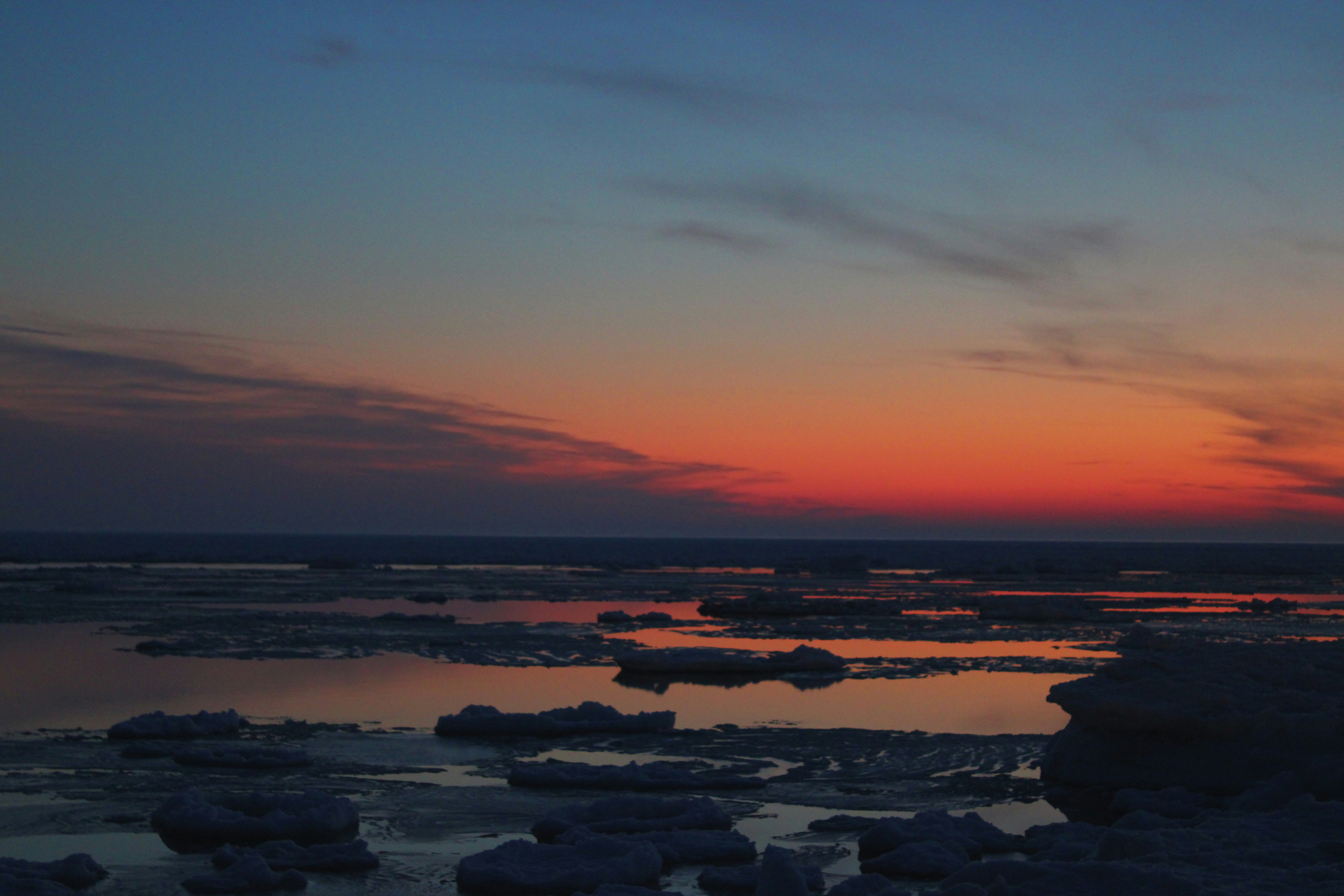 Photo by miaswerbs10