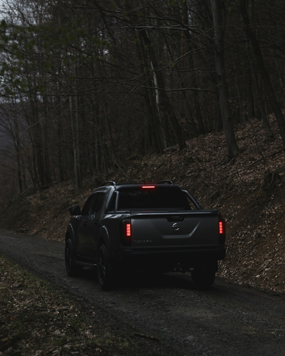 昼間、木々の間の道路を走る黒い車