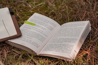 Sunlight filtering through leaves onto a journal open to a page about bilingual education.