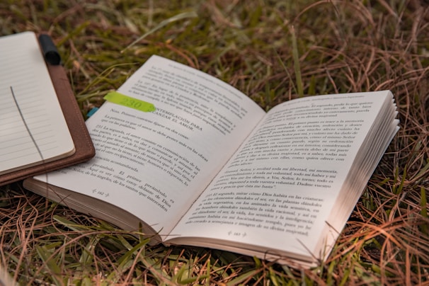 Sunlight filtering through leaves onto a journal open to a page about bilingual education.