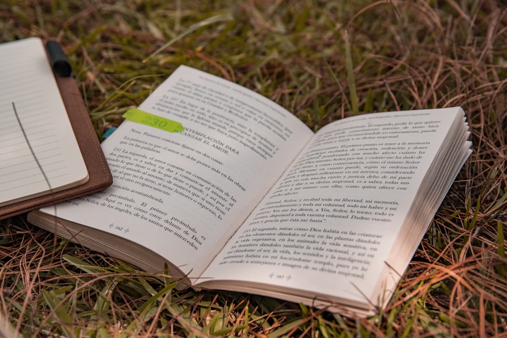 white book page on brown grass