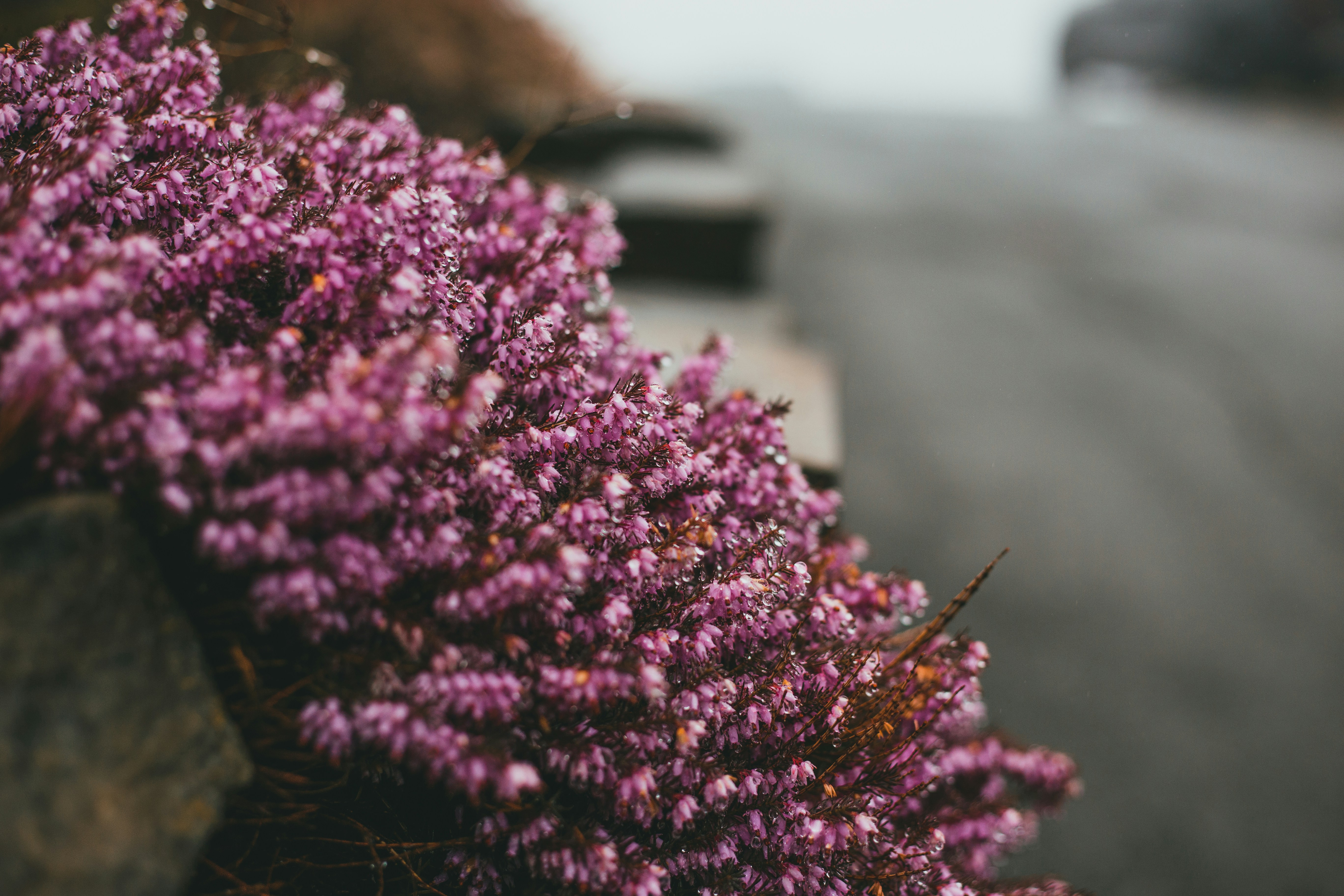 Photo by introspectivedsgn