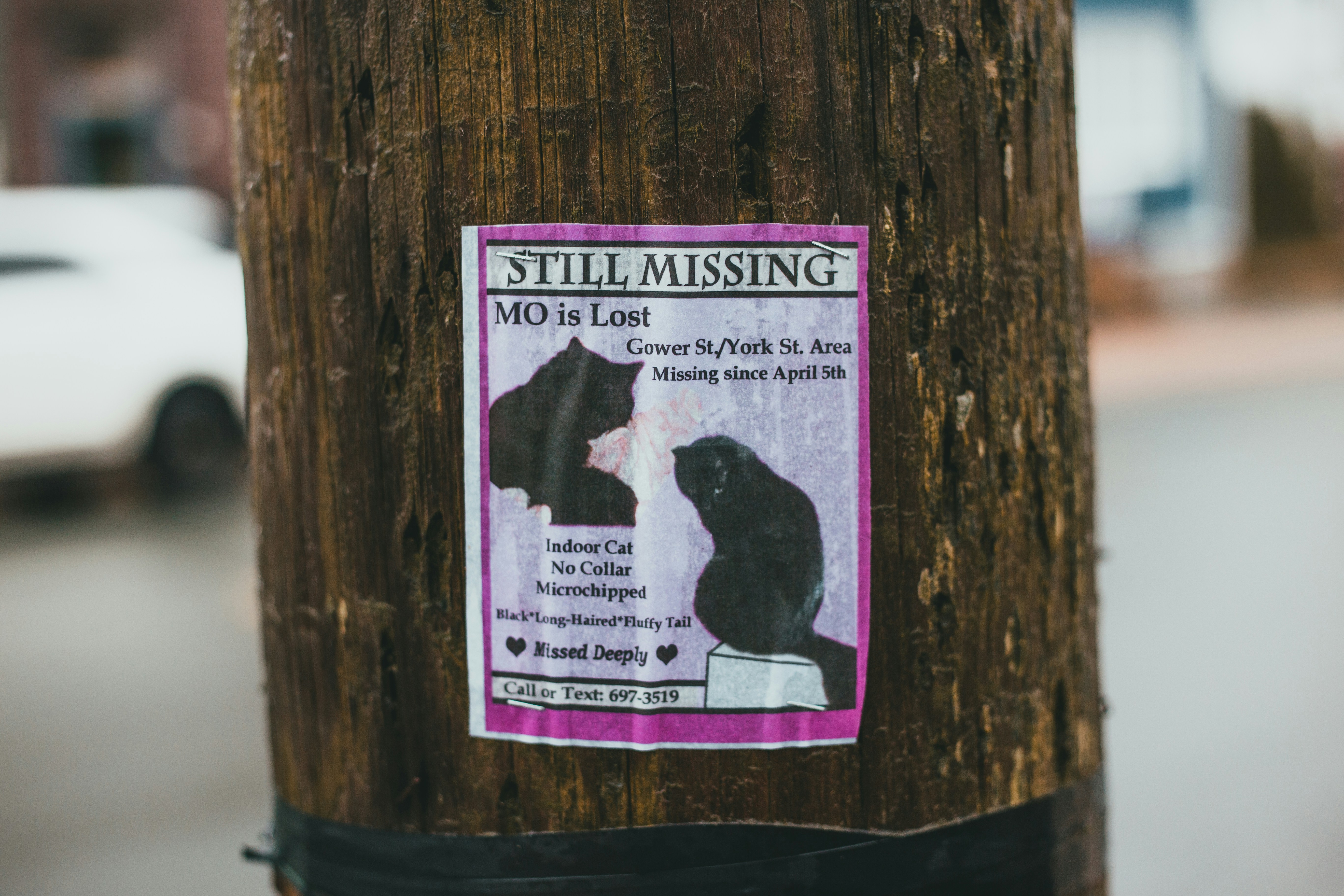 white and black labeled card (Photo by Erik Mclean on Unsplash)