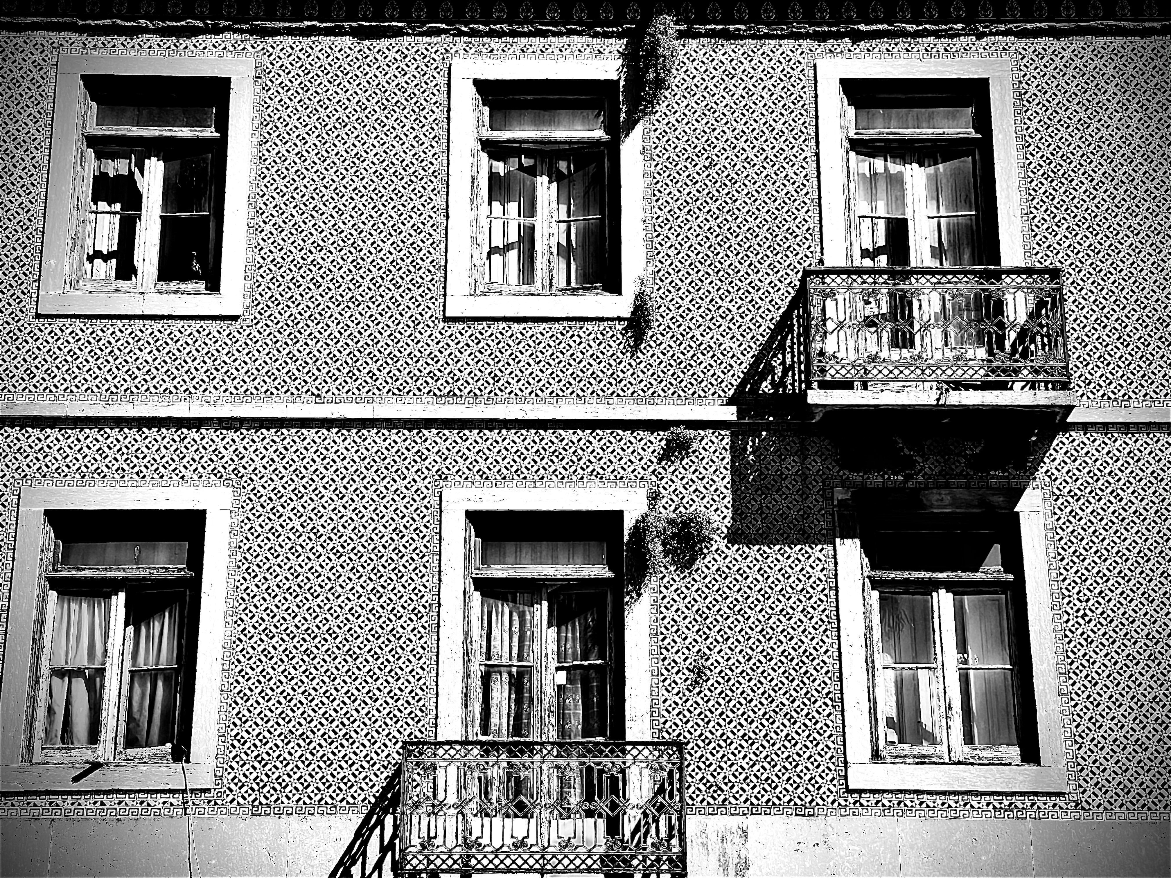 Photo by mouraonunes