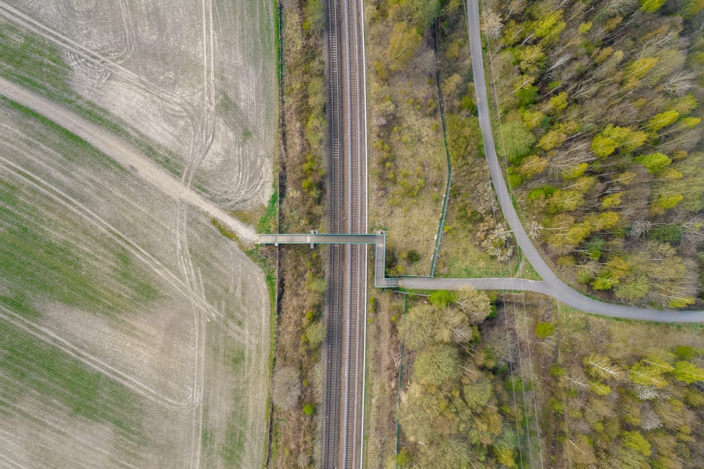 aerial view of green trees