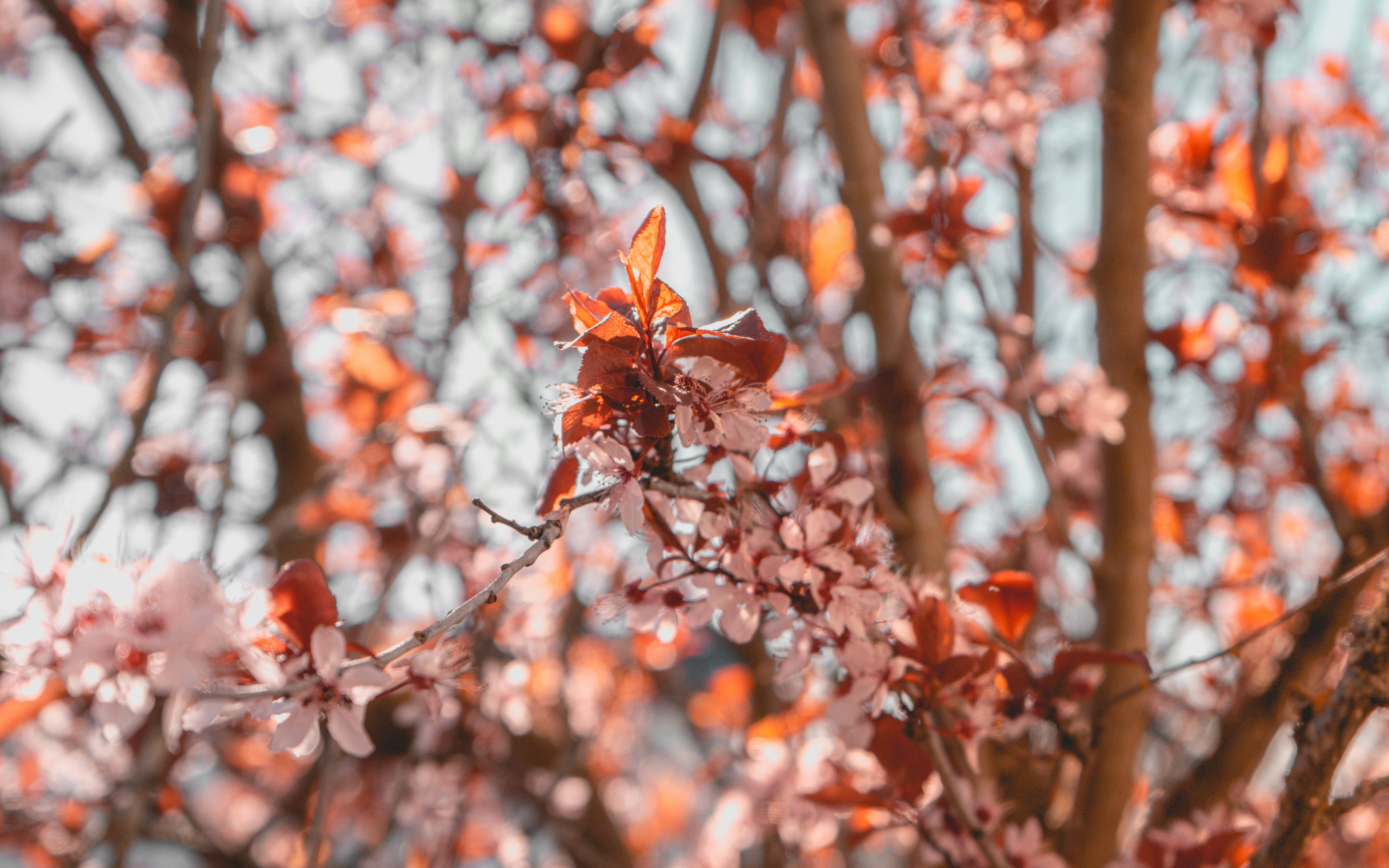 Photo by colefreeman