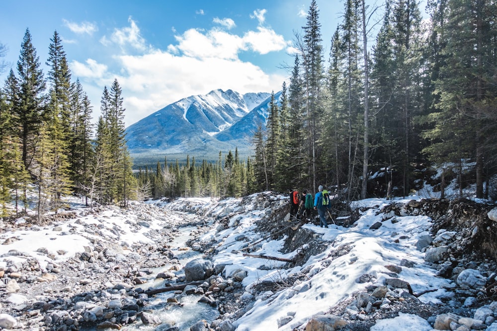 people walking on snow covered ground near green trees and mountains under blue sky and white