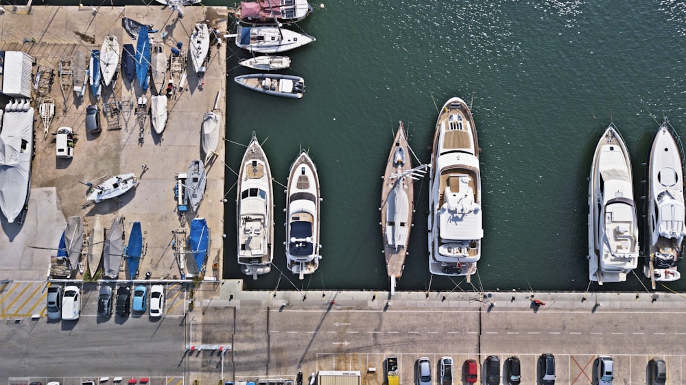 white and brown boat on water during daytime