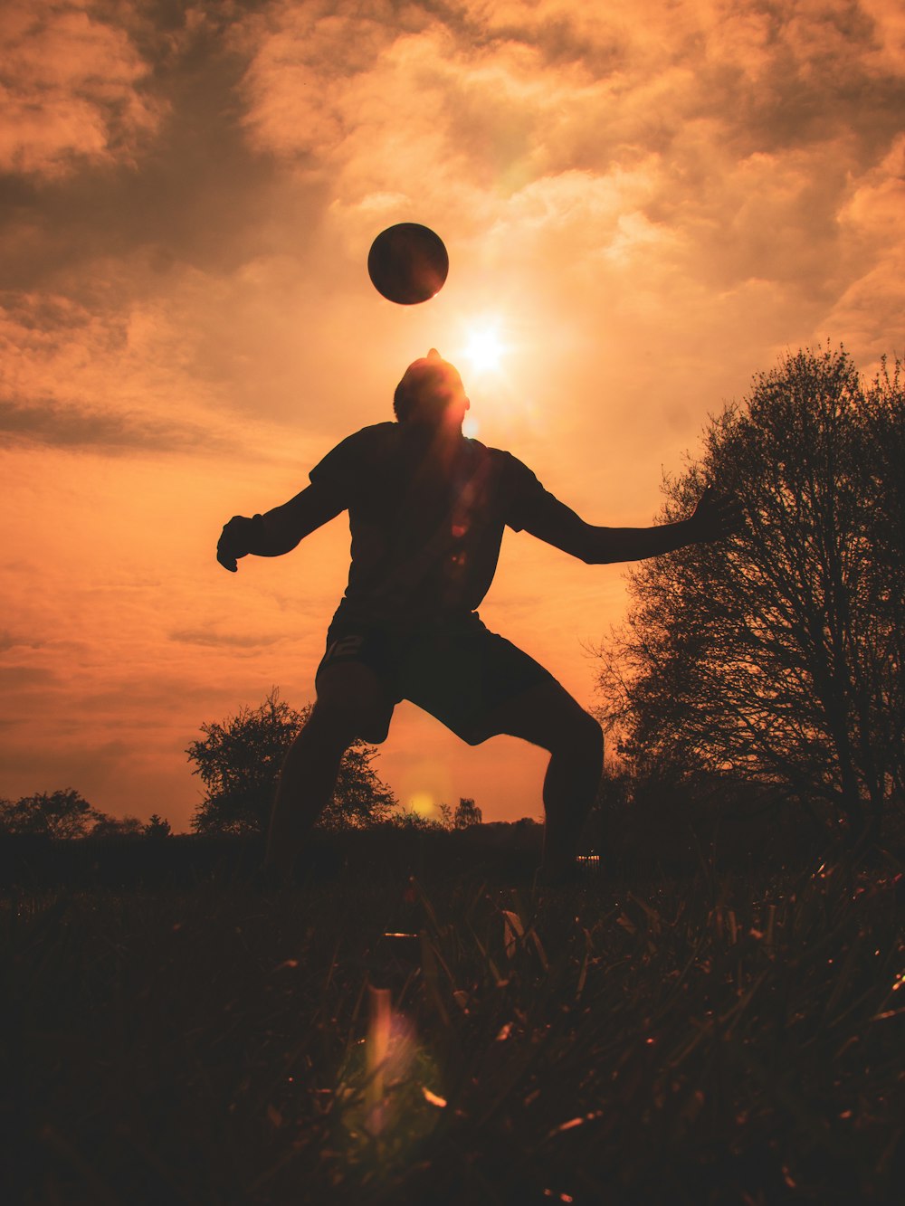 silhouette of man jumping on grass field during sunset