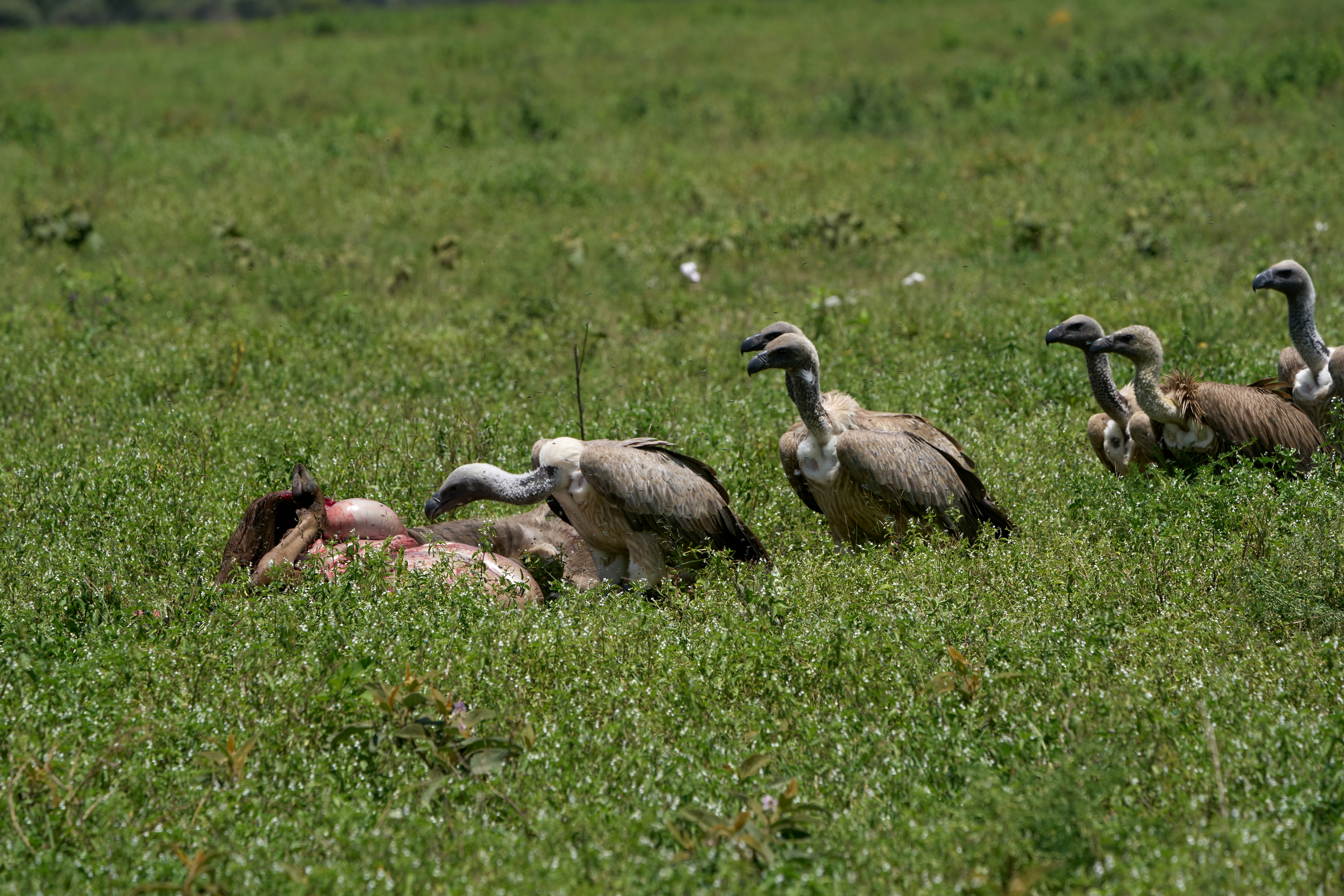 Photo by dmitrii_zhodzishskii