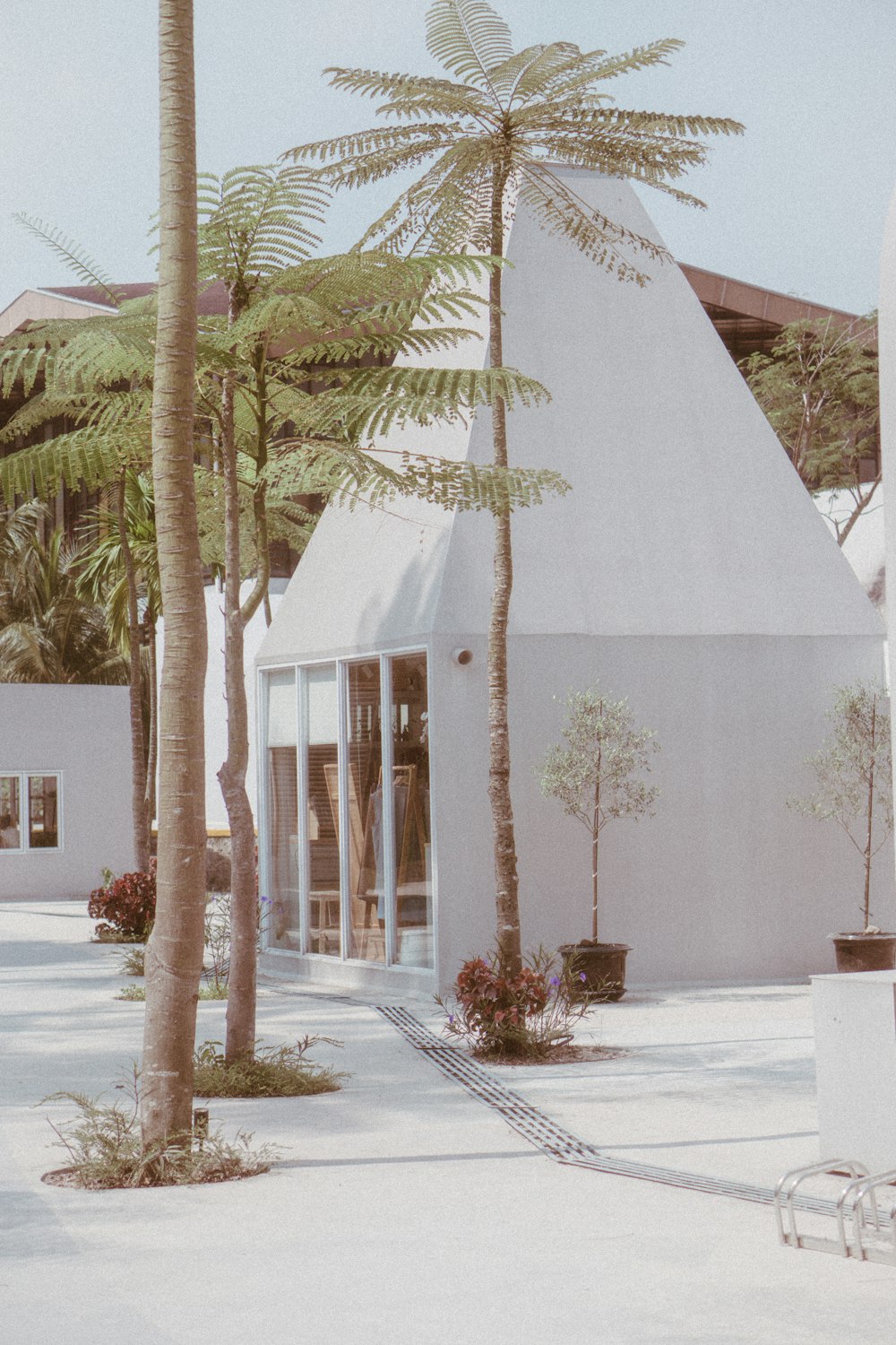 white concrete building near palm trees during daytime