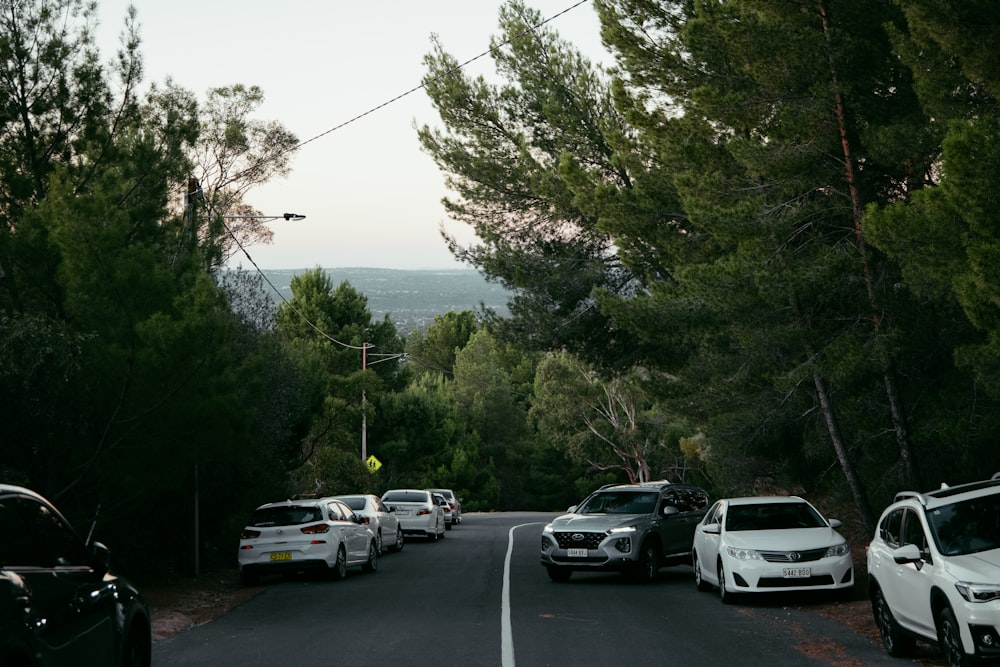 cars parked on parking lot during daytime