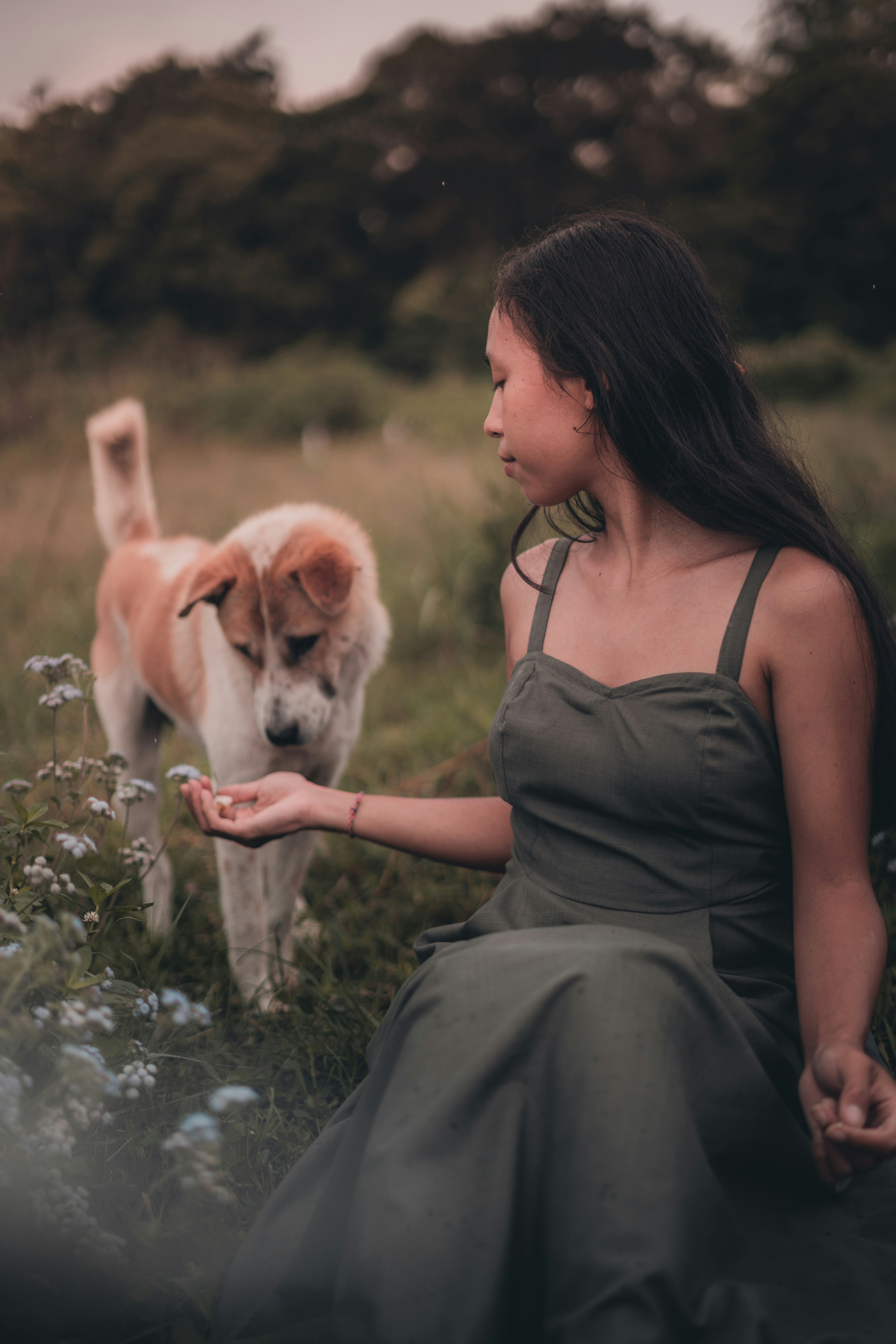 Photo by visualsofdana