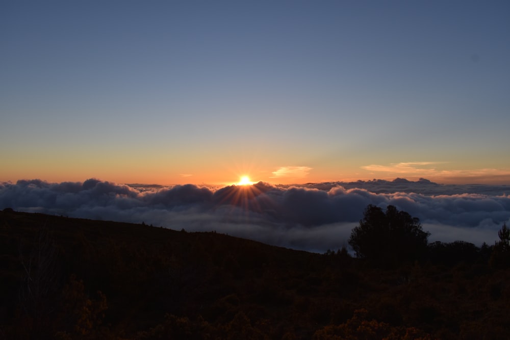 夕暮れ時の木々や山々のシルエット