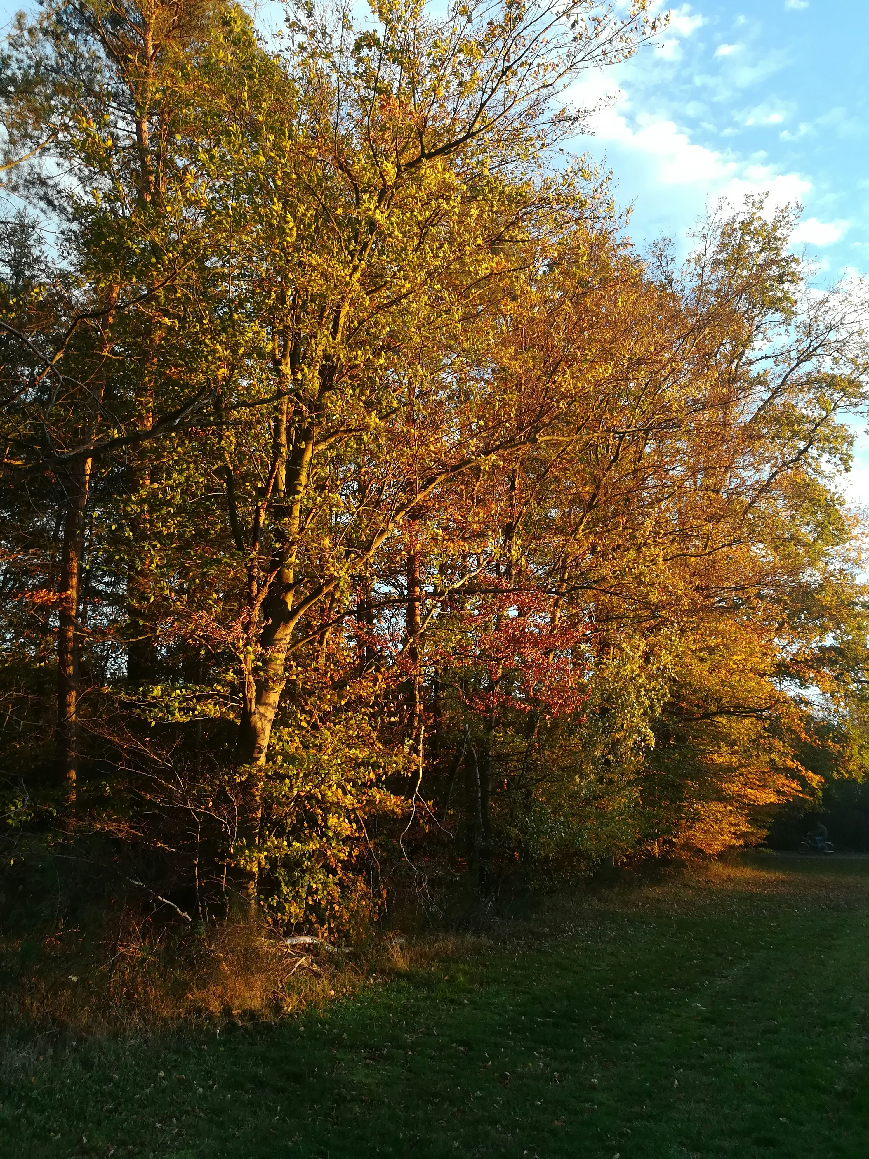 Photo by schreibmich