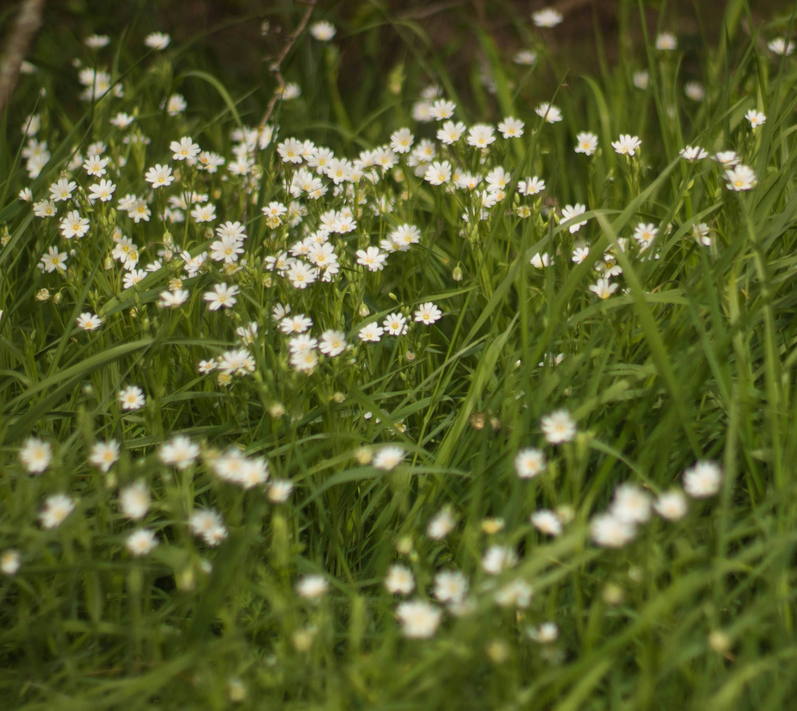 Photo by rspictorial