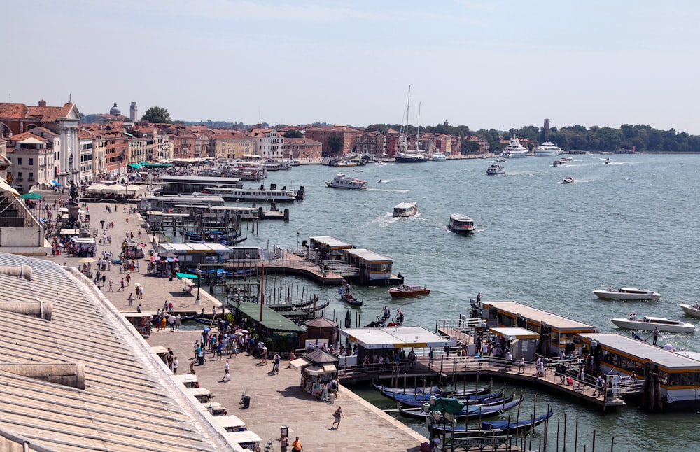 people walking on dock near body of water during daytime