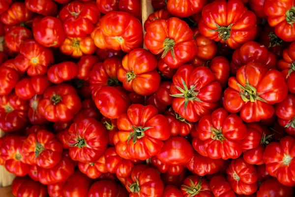 Fresh tomatoes and chipotle peppers
