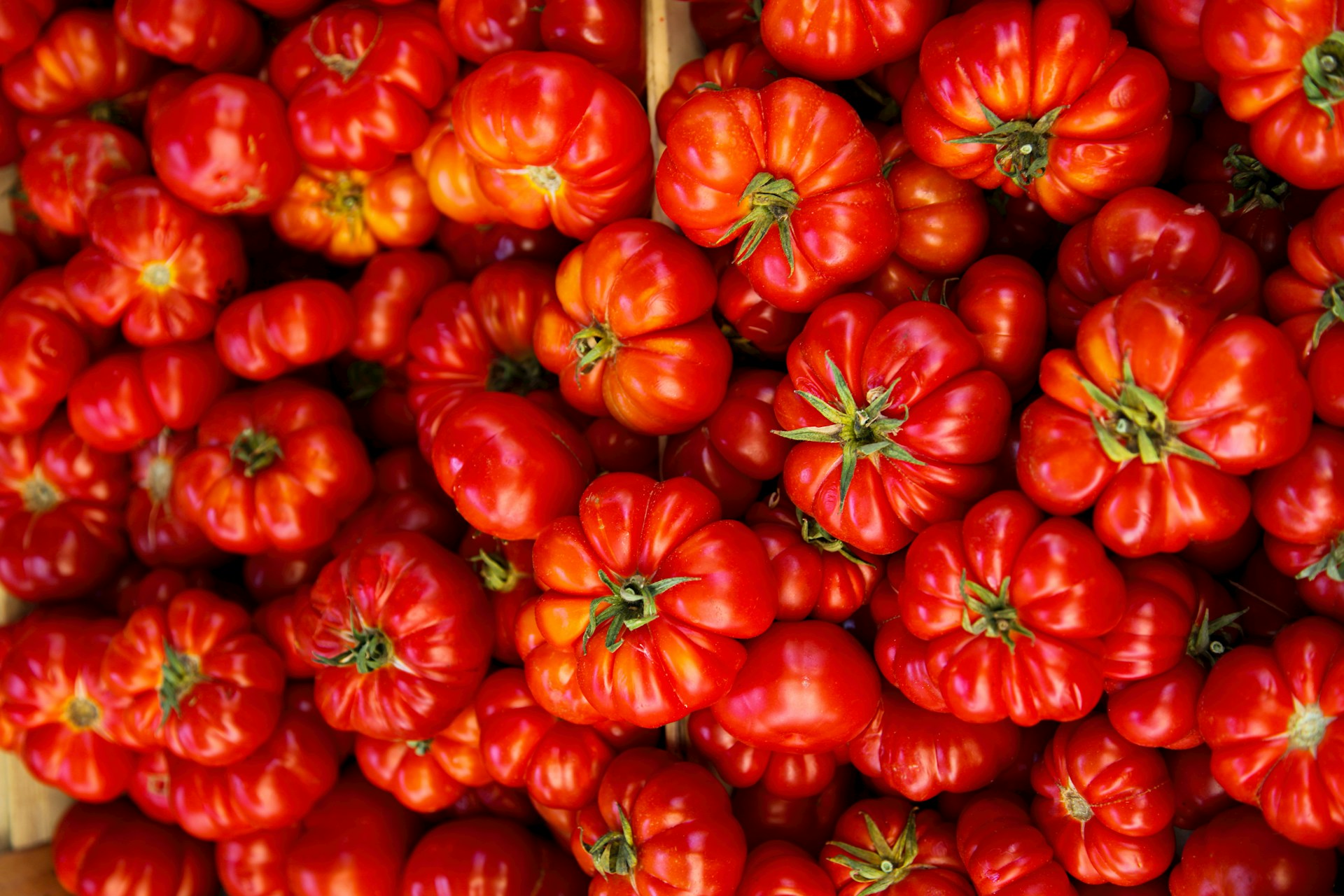 red tomato lot in box