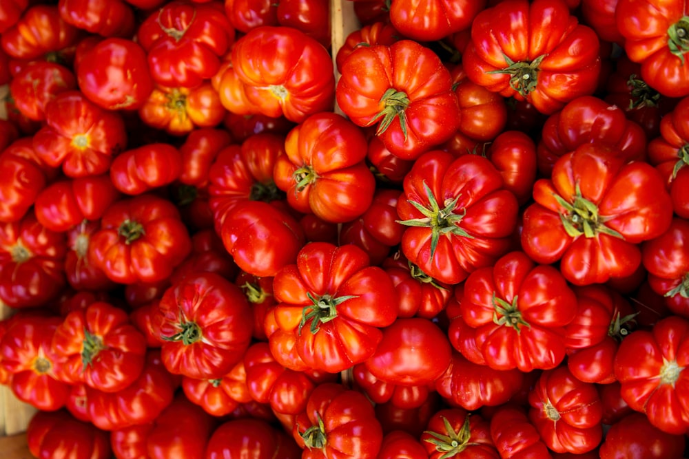 red tomato lot in box