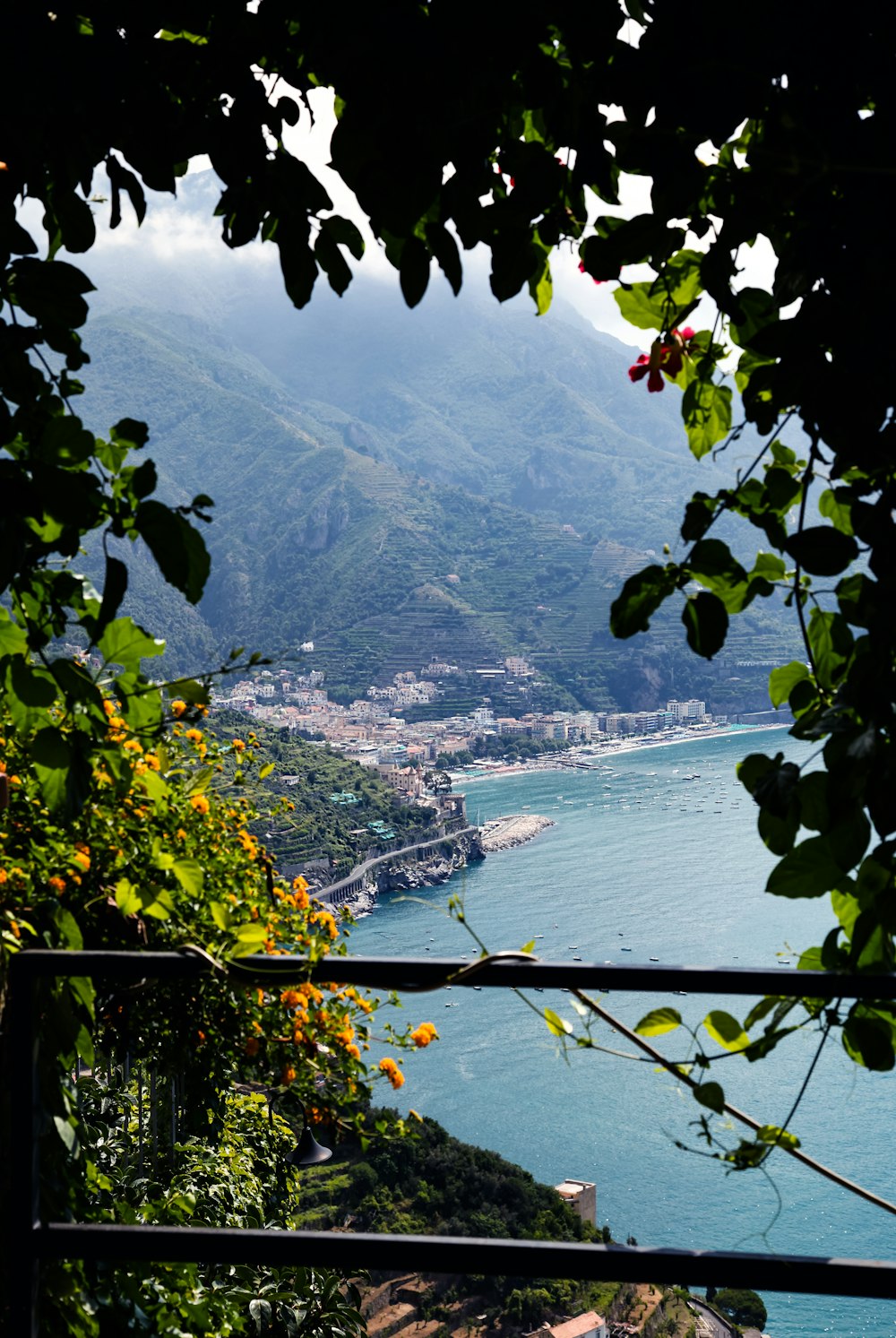 green trees near body of water during daytime