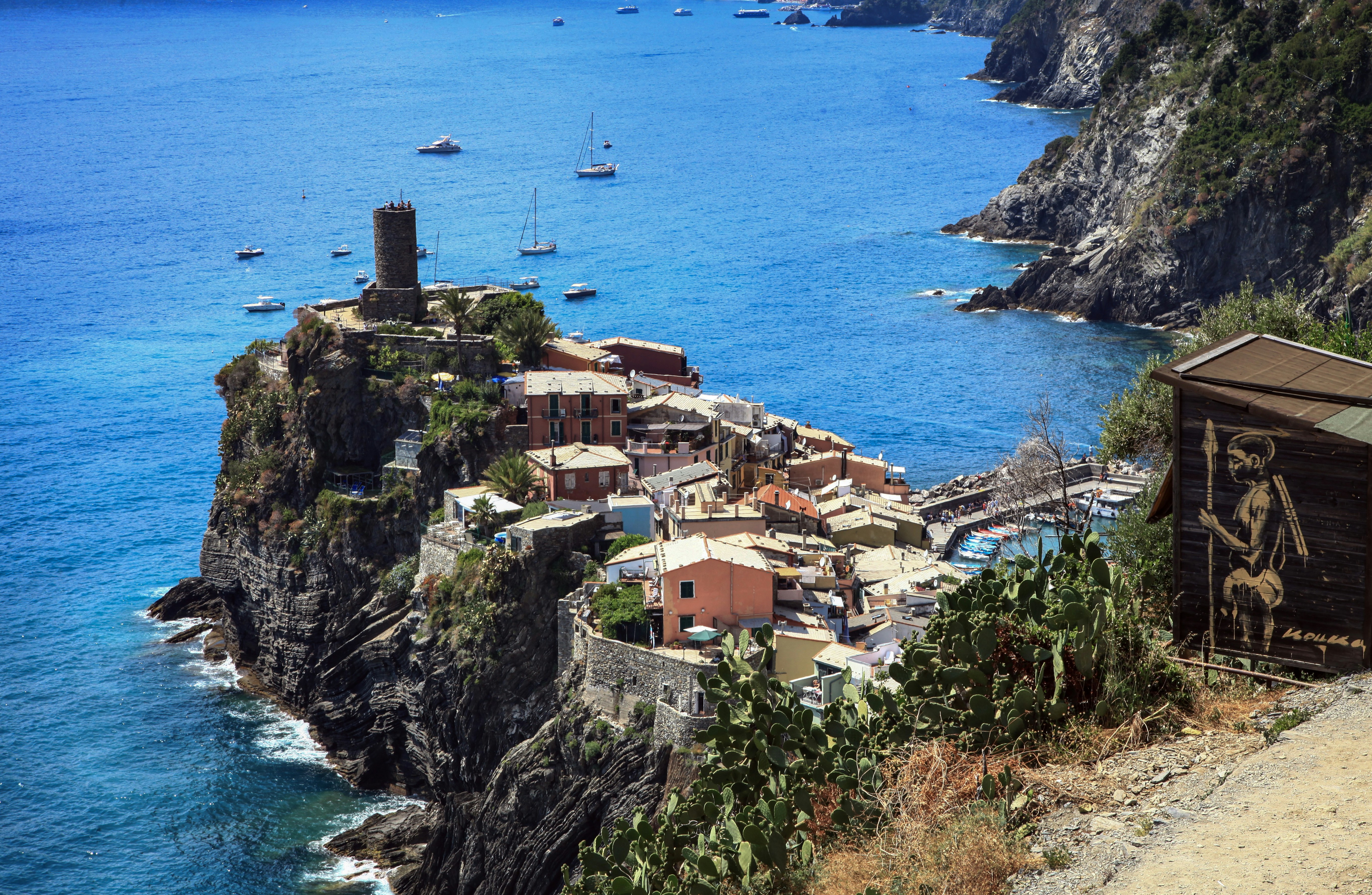 Photo by tamarushphotos