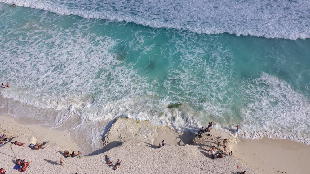 people on beach during daytime