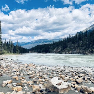 white stones on river near green trees under white clouds and blue sky during daytime