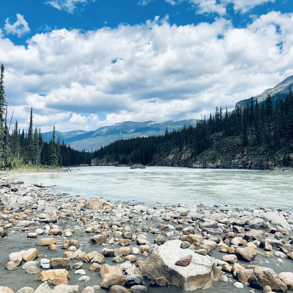 white stones on river near green trees under white clouds and blue sky during daytime