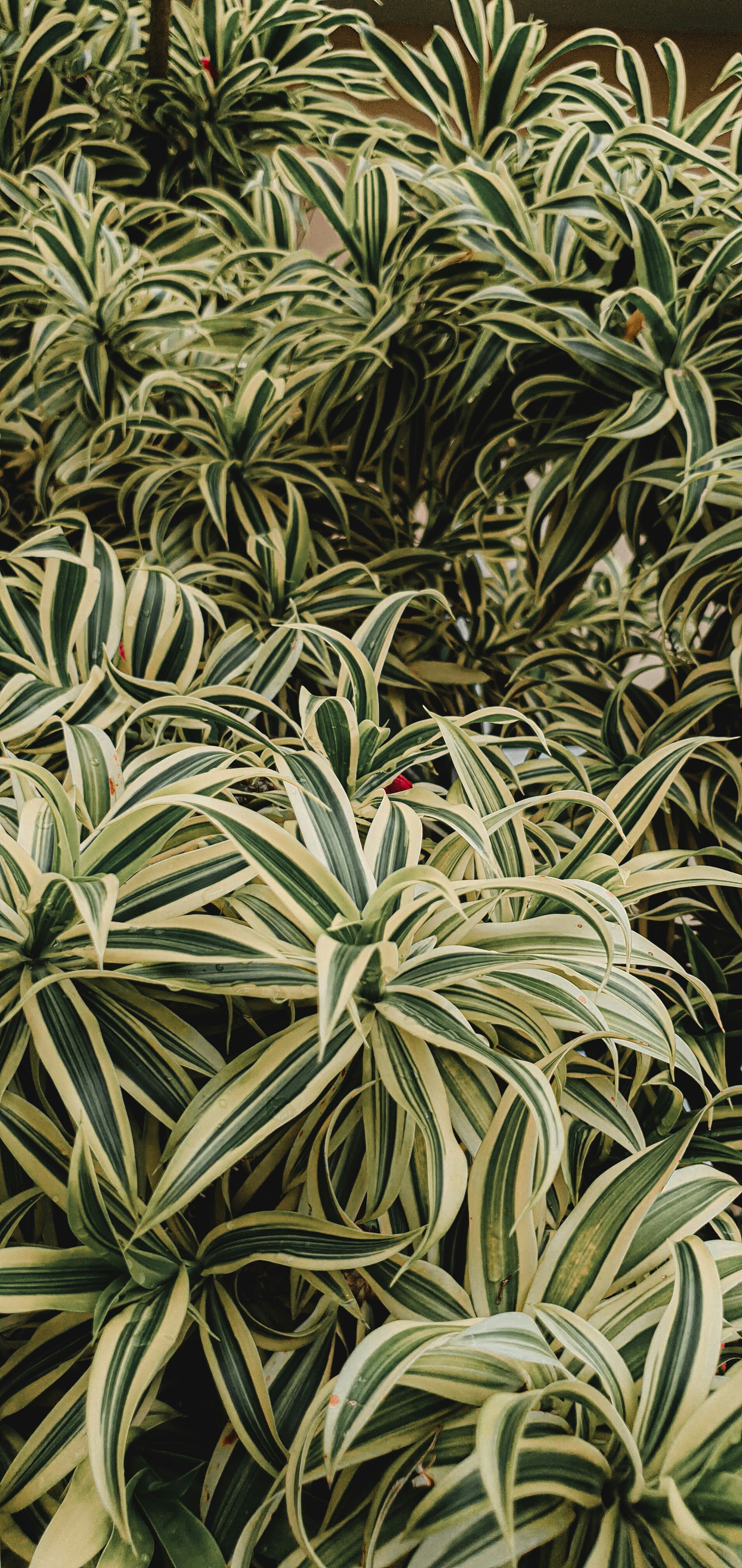 Photo by ekaterinanto