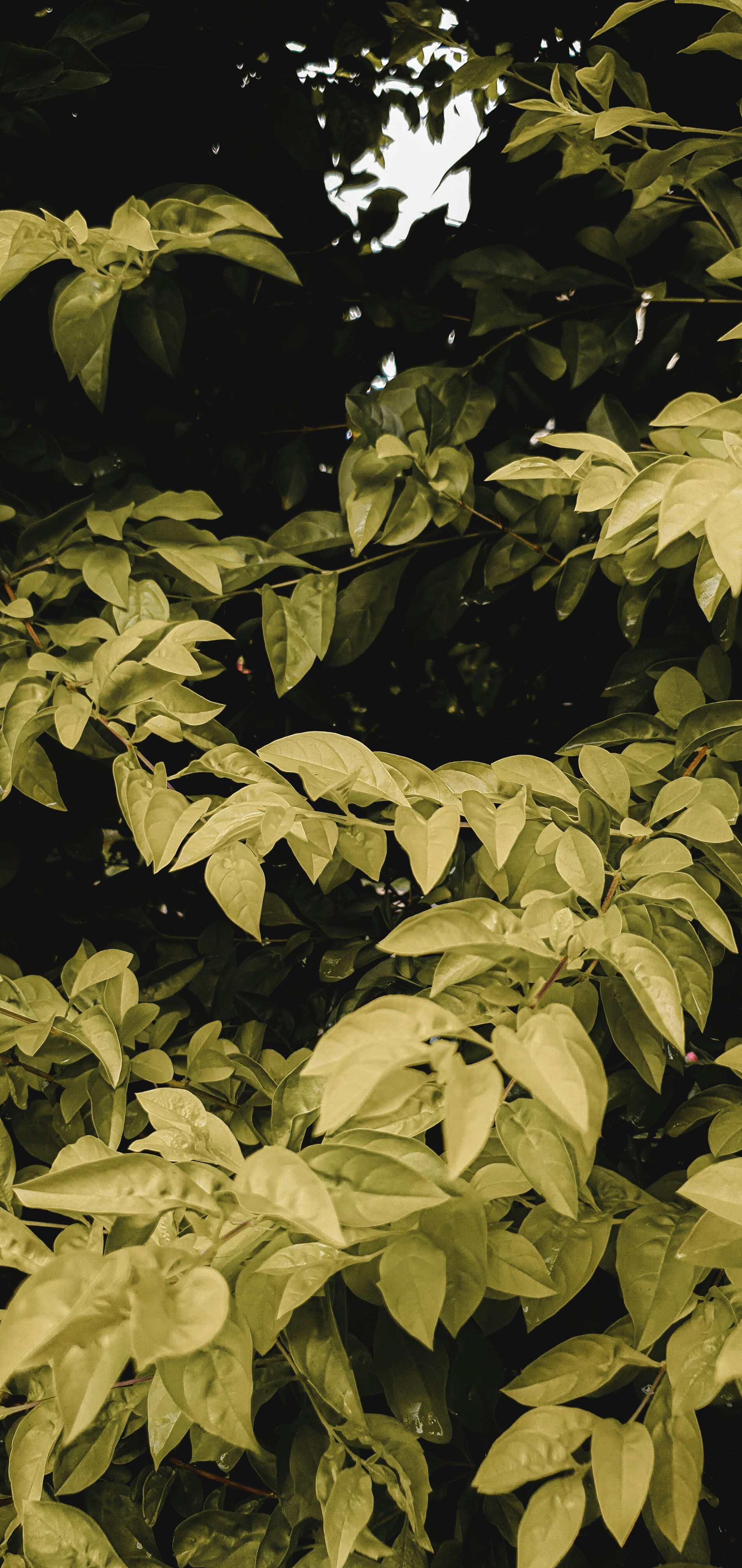 Photo by ekaterinanto