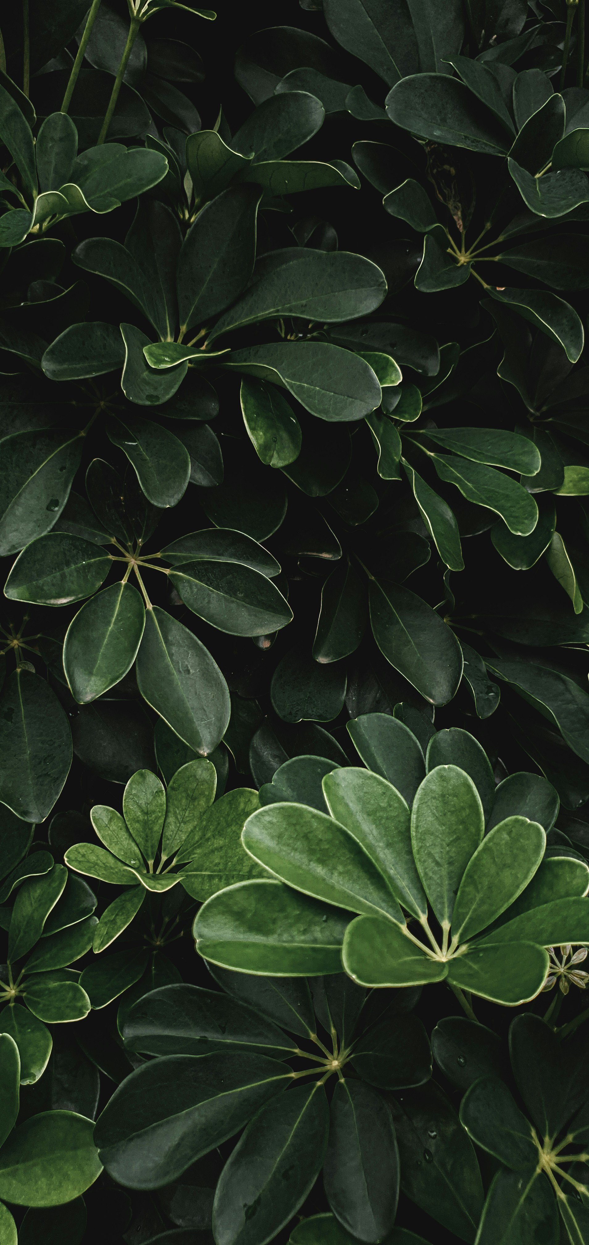 Photo by ekaterinanto