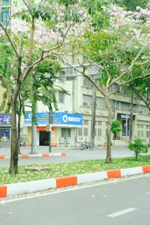 A quiet urban street scene with several tall trees in the foreground, adorned with pink flowers. The trees line the sidewalk along a road with a red and white curb. In the background, there are buildings, one of which has a sign with the name Quatest3 and another labeled Swan City. A scooter is parked near the entrance of one of the buildings.
