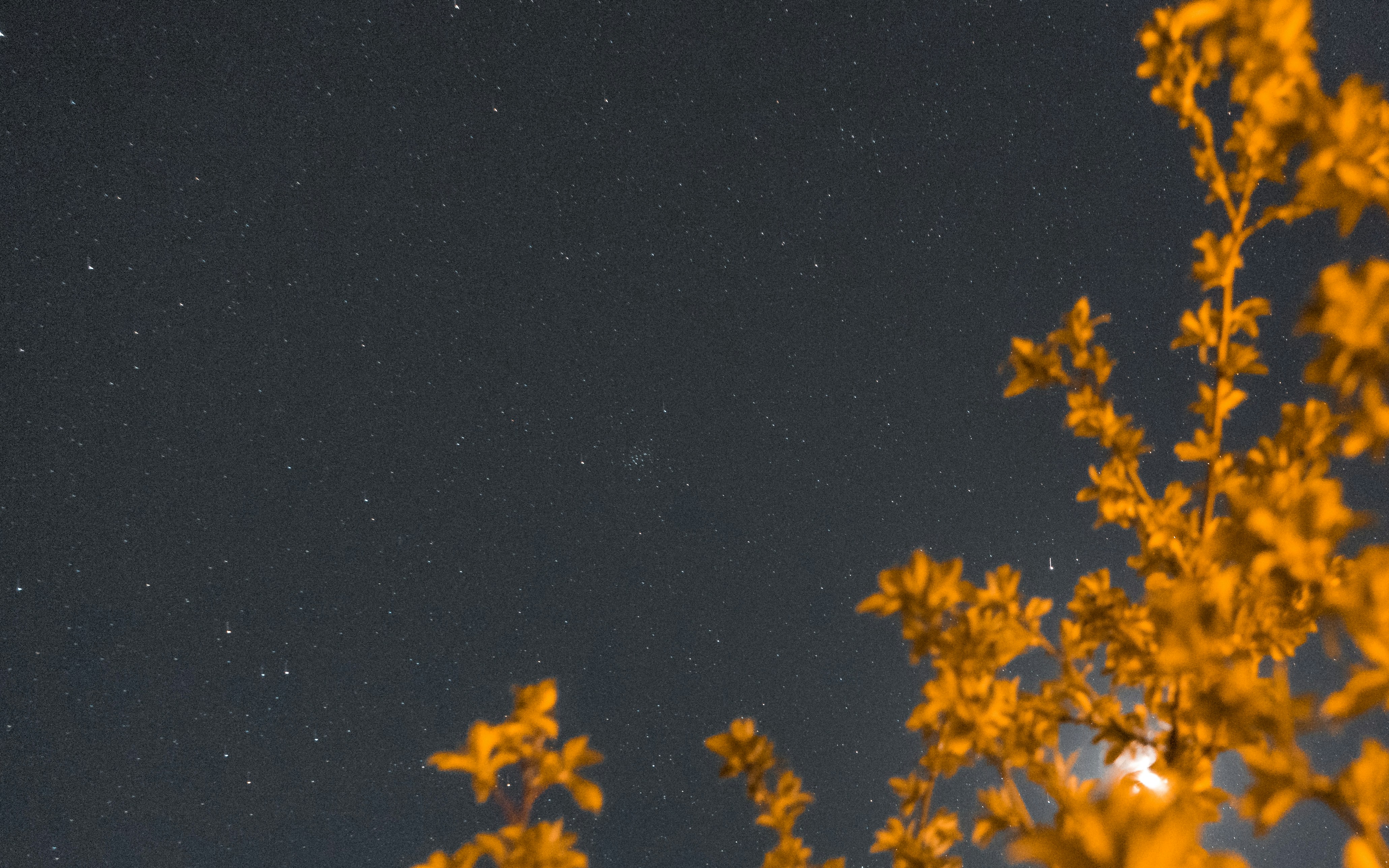 Photo by colefreeman