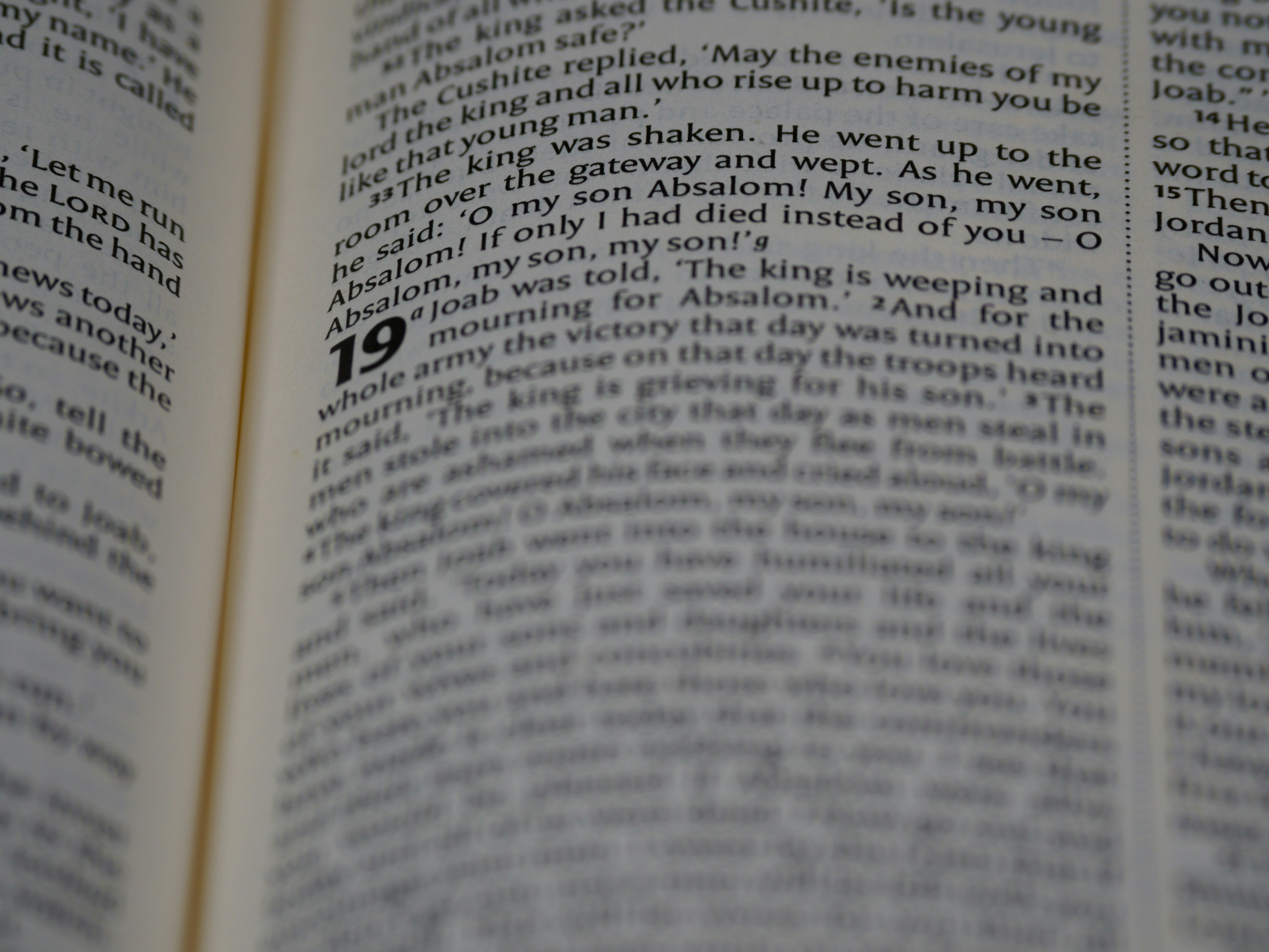 Photo by brett_jordan