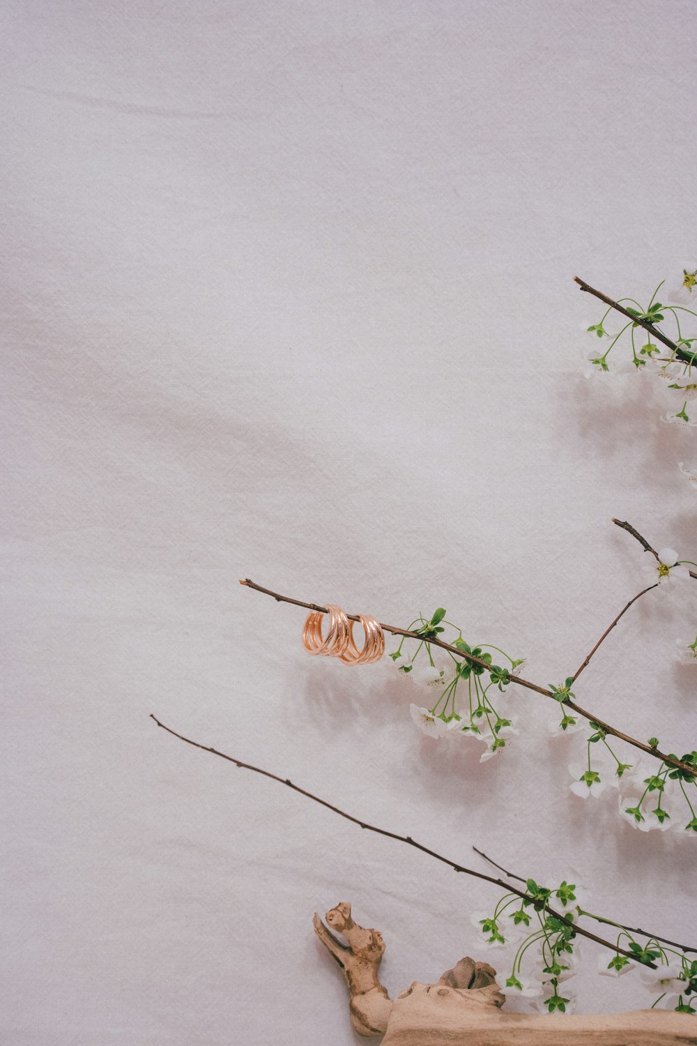 plante verte sur neige blanche