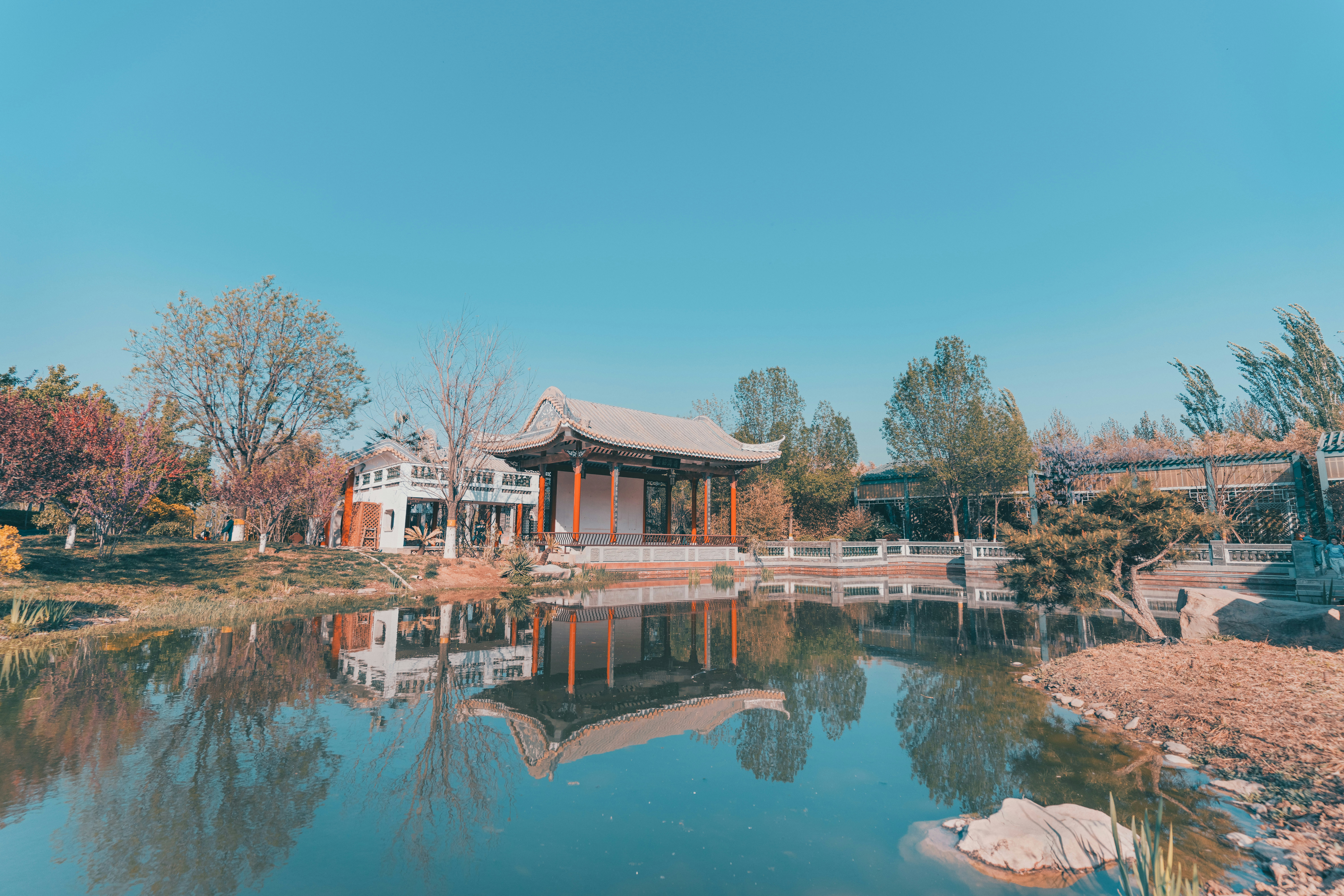Photo by zhangkaiyv