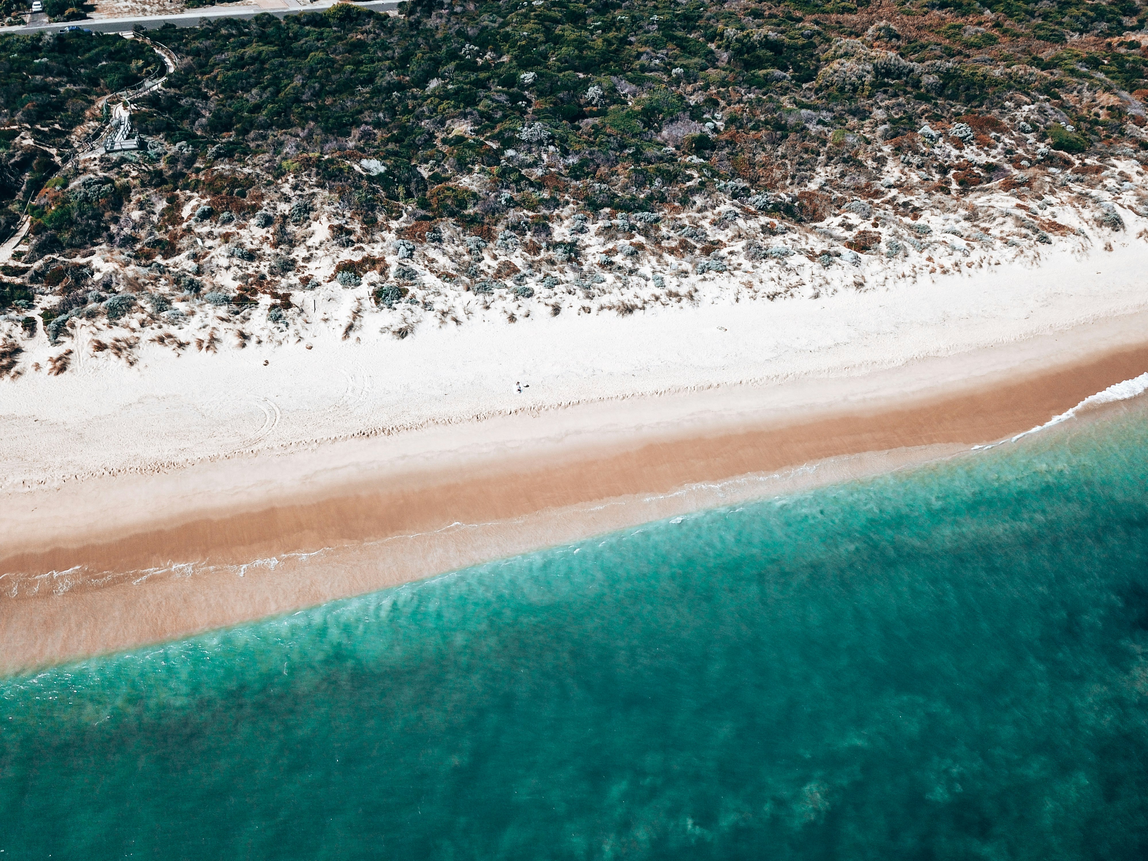 aerial view of beach during daytime