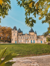 A grand, historic chateau with multiple pointed towers and an elegant facade is surrounded by green grass and lush trees. The sky is clear and blue, and the scene is framed by leafy branches.