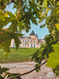 green tree near white concrete building during daytime