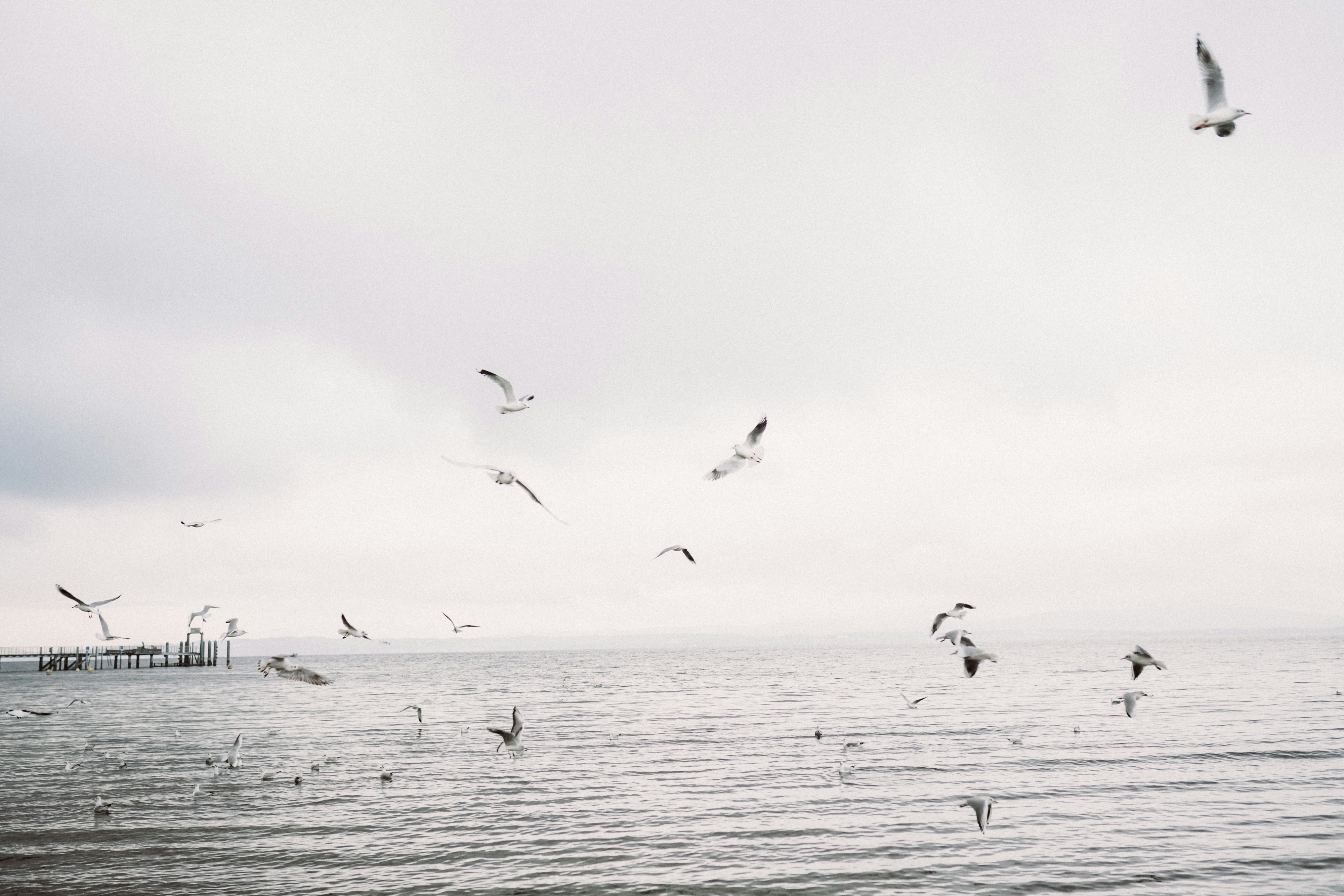 Photo by daniela_matthies