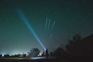 A professional astronomer pointing out constellations to children using a laser pointer in a dark garden.