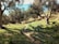 A picturesque view of an olive grove with several scattered olive trees casting shadows on the grassy terrain. In the background, a clear blue sea is visible under a bright sky, creating a serene coastal landscape. The sunlight filters through the trees, creating a peaceful and natural setting.
