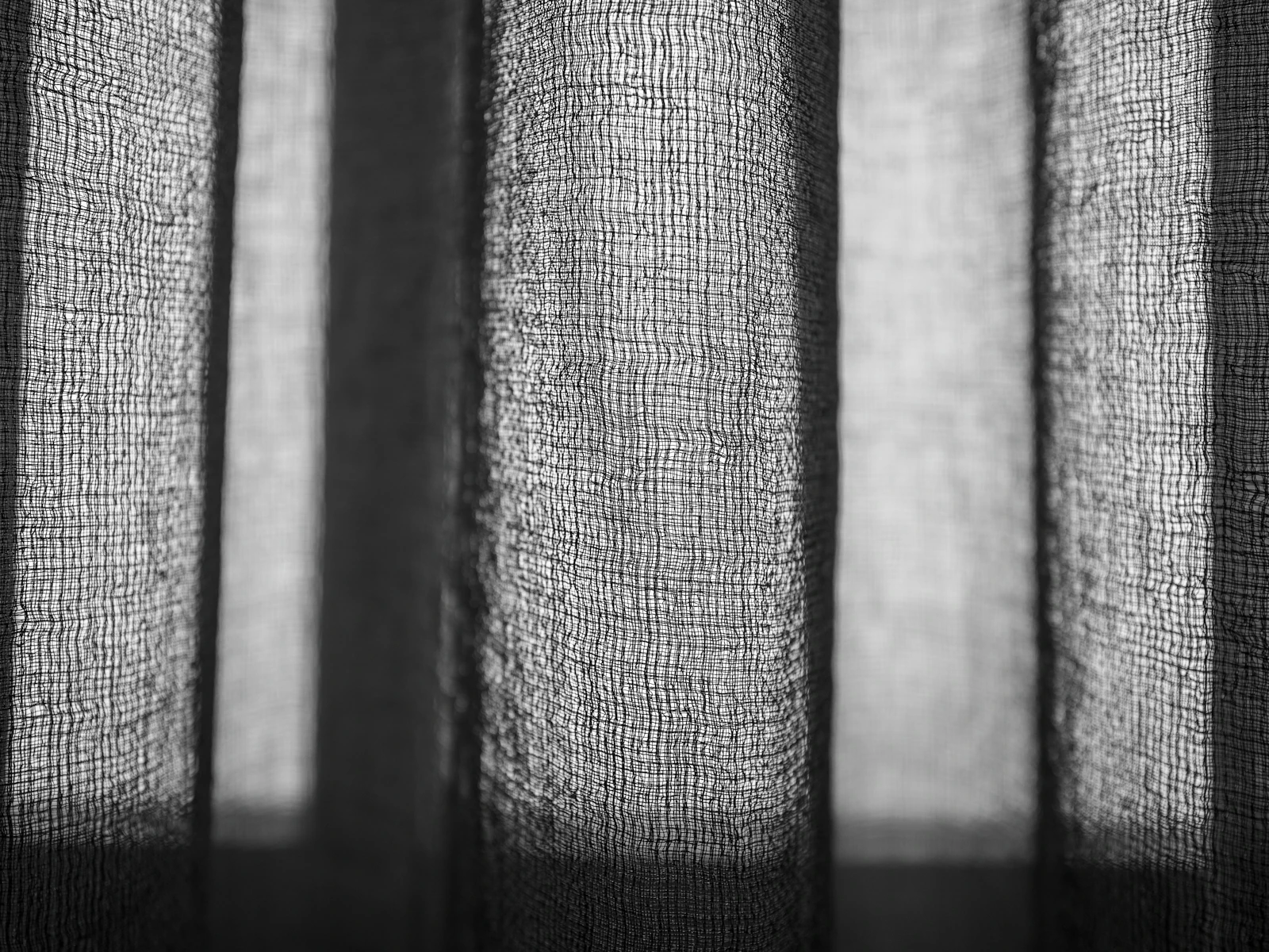 Backlit macro of an open natural weave