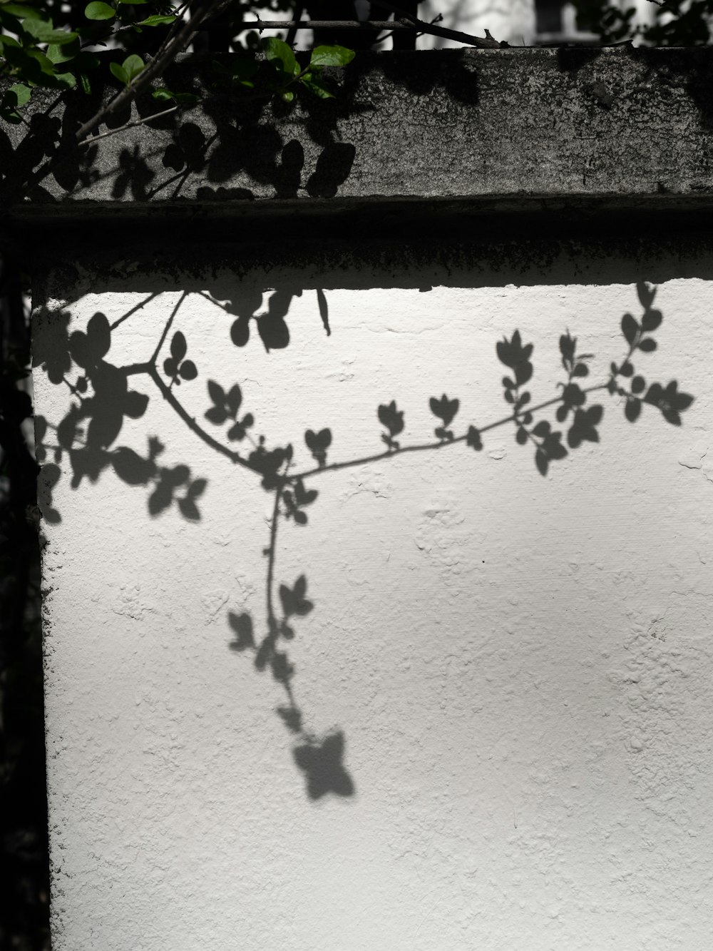 brown wooden frame on white concrete wall