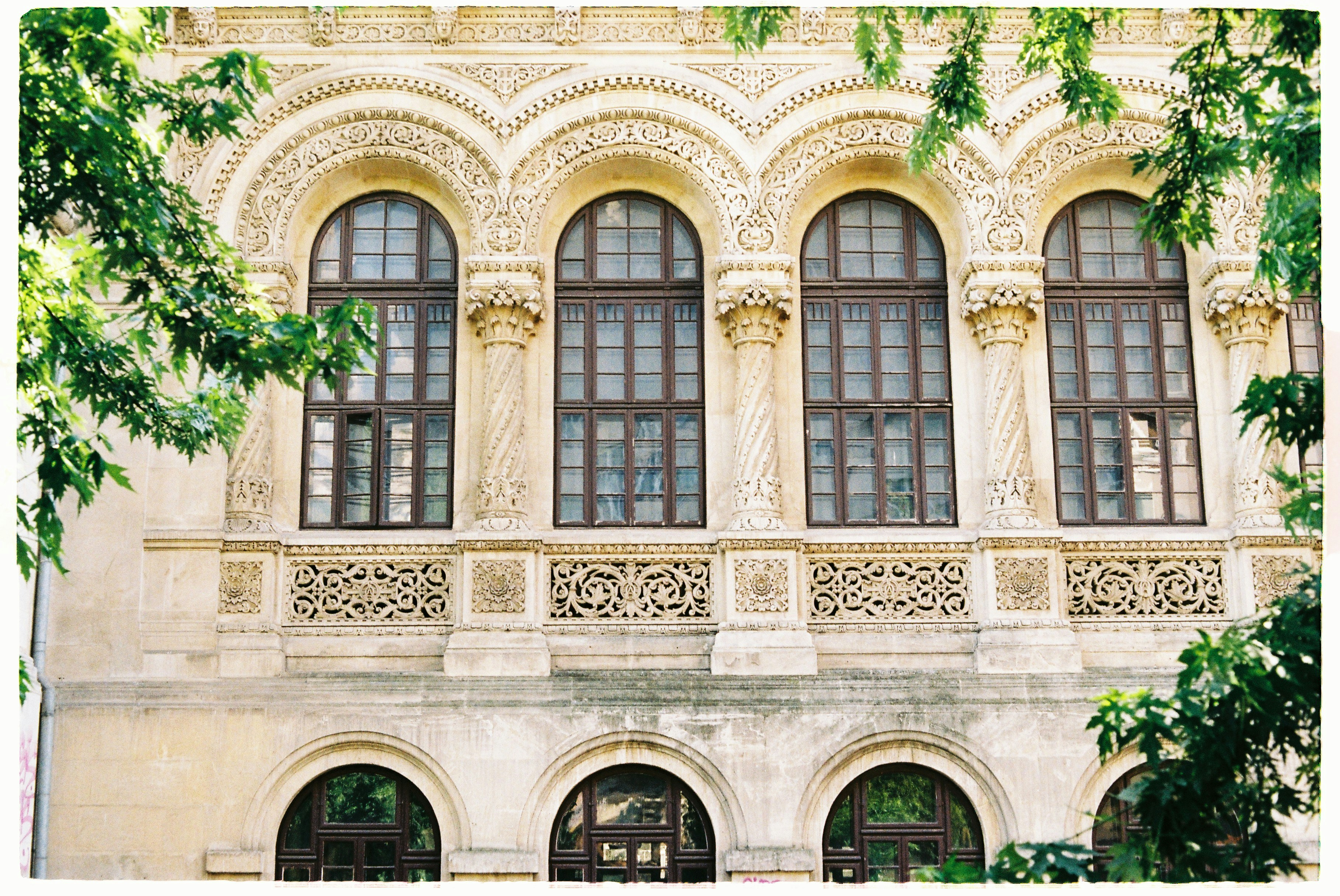 white concrete building with green trees