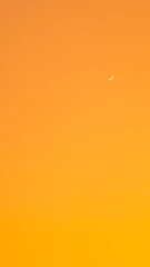 Minimalist vertical timeline with a crescent moon symbol representing day one